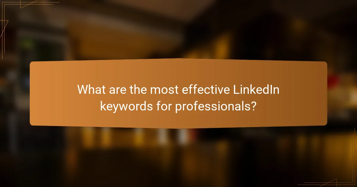 What are the most effective LinkedIn keywords for professionals?
